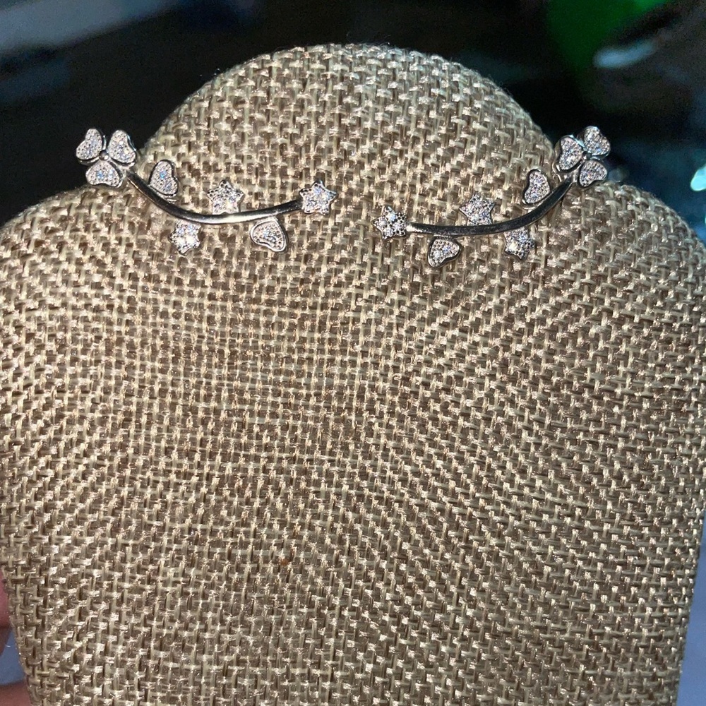 Sterling silver earrings